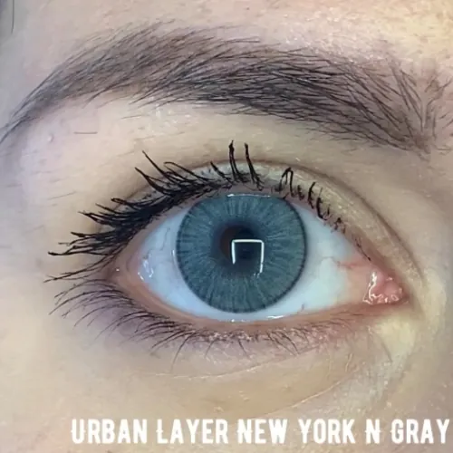 New York N Gray