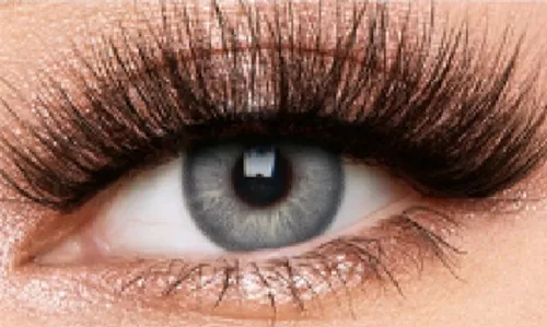 Irish Gray