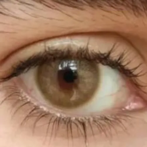 Cloud Brown