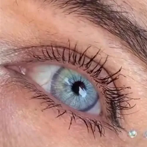 Las Vegas Ash Blue